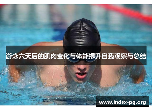 游泳六天后的肌肉变化与体能提升自我观察与总结