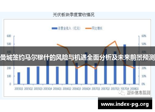 曼城签约马尔穆什的风险与机遇全面分析及未来前景预测