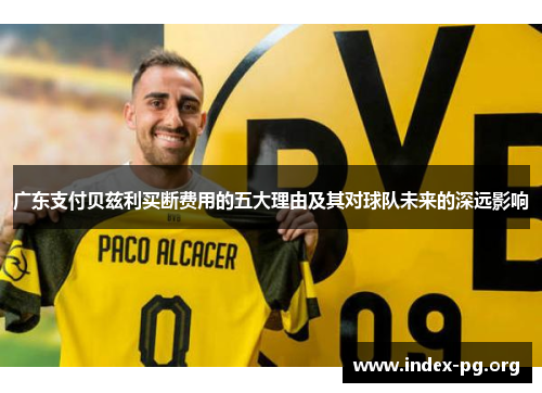 广东支付贝兹利买断费用的五大理由及其对球队未来的深远影响