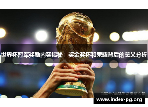 世界杯冠军奖励内容揭秘：奖金奖杯和荣耀背后的意义分析