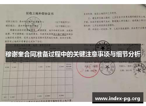 穆谢奎合同准备过程中的关键注意事项与细节分析