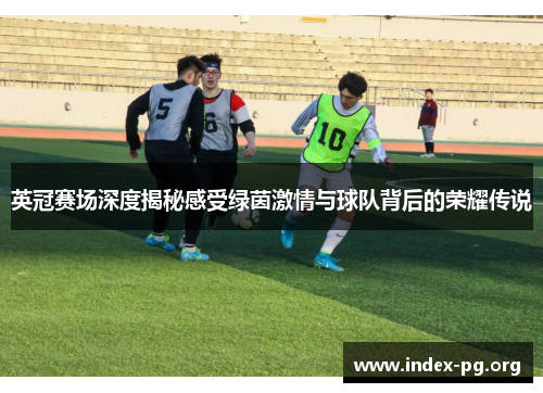 英冠赛场深度揭秘感受绿茵激情与球队背后的荣耀传说