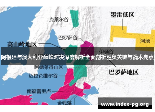 阿根廷与澳大利亚巅峰对决深度解析全面剖析胜负关键与战术亮点