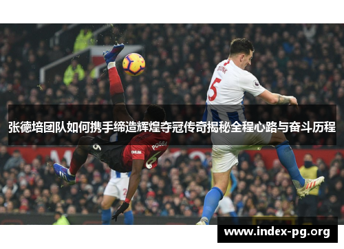 张德培团队如何携手缔造辉煌夺冠传奇揭秘全程心路与奋斗历程