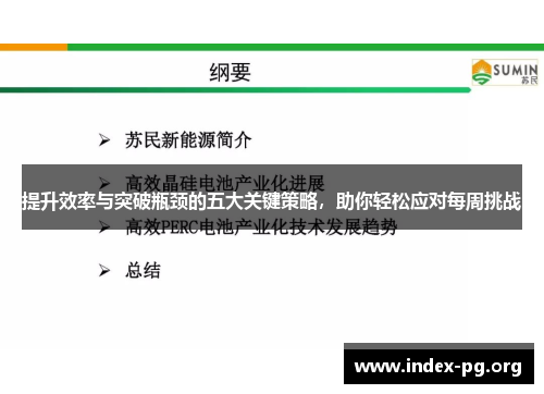 提升效率与突破瓶颈的五大关键策略，助你轻松应对每周挑战